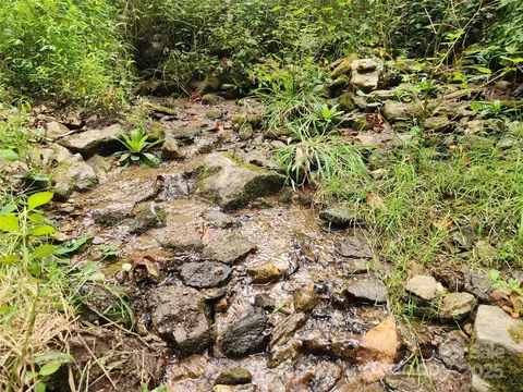 Other - 1925 S Fork Rd, Marshall, NC 28753 photo 4 of 32