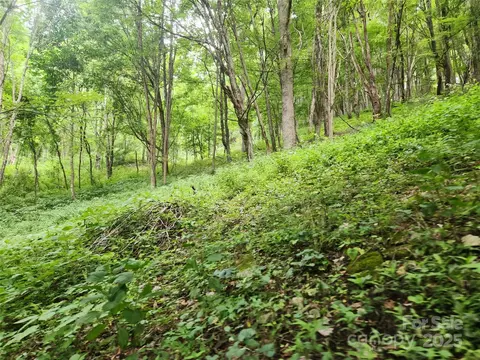 Other - 1925 S Fork Rd, Marshall, NC 28753 photo 15 of 32