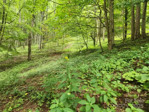 Other - 1925 S Fork Rd, Marshall, NC 28753 photo 16 of 32