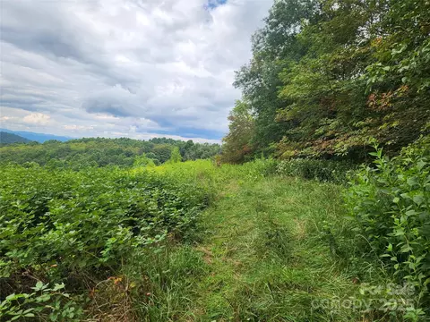Other - 1925 S Fork Rd, Marshall, NC 28753 photo 19 of 32