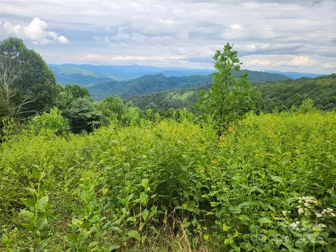 Other - 1925 S Fork Rd, Marshall, NC 28753 photo 22 of 32