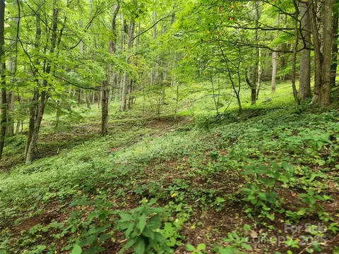 Other - 1925 S Fork Rd, Marshall, NC 28753 photo 14 of 32