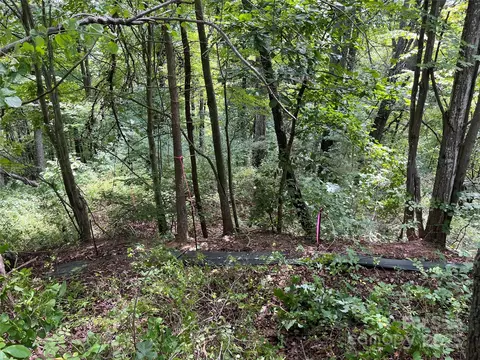 4 Summit View 4 Dr #4, Canton, NC 28716 photo 14