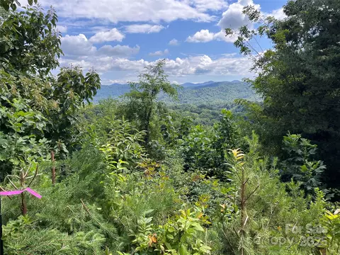 4 Summit View 4 Dr #4, Canton, NC 28716 photo 13