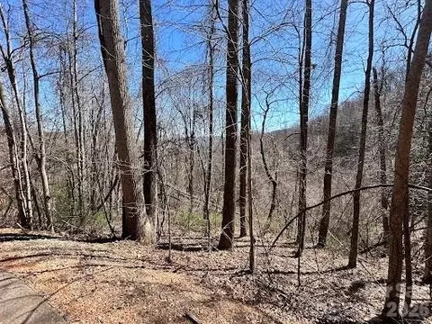 52 Hope View Rd, Swannanoa, NC 28778