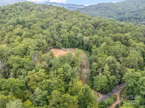 16 Wildcat Ridge Dr, Fairview, NC 28730
