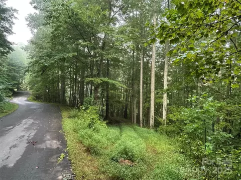 100 S Lindon Cove 35 36 Rd #35, 36, Candler, NC 28715