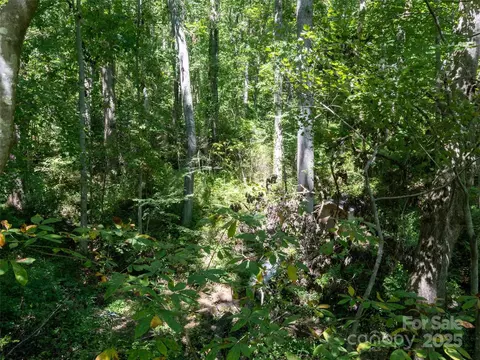 99999 Sweet Apple Dr, Fairview, NC 28730