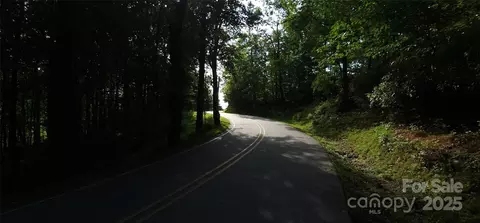 blockaders den #52, Columbus, NC 28722 photo 18