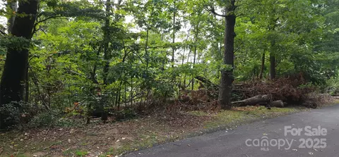 blockaders den #52, Columbus, NC 28722 photo 8