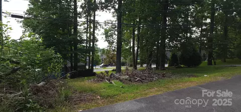 blockaders den #52, Columbus, NC 28722 photo 6