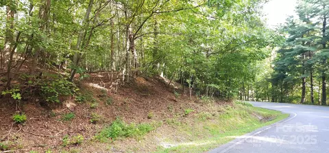 blockaders den #52, Columbus, NC 28722 photo 13