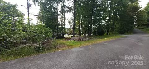 blockaders den #52, Columbus, NC 28722 photo 5