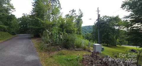 blockaders den #52, Columbus, NC 28722 photo 22