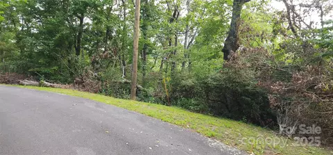 blockaders den #52, Columbus, NC 28722 photo 7