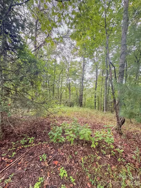 110 Stone Valley 20 Way #20, Hendersonville, NC 28792