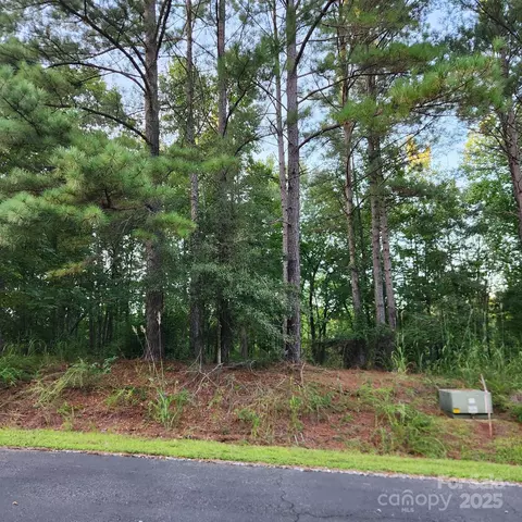 115 Scenic Ridge Dr, Mooresboro, NC 28114