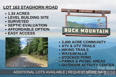 163 Staghorn Road #163, Purlear, NC 28665