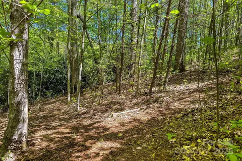 Hunting Lodge 9 Drive #9, Black Mountain, NC 28711