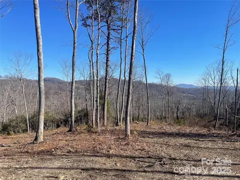 Mountain Grove Lane, Fletcher, NC 28732