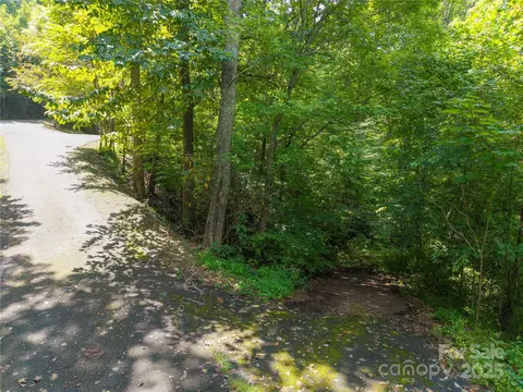 60 Chesten Mountain Drive #60, Asheville, NC 28803