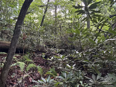 Salisbury Street, Saluda, NC 28733