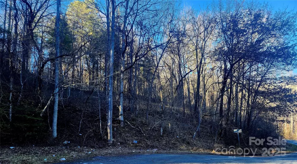  002 Lyle Wilson Rd, Cullowhee, NC 28723 photo 7