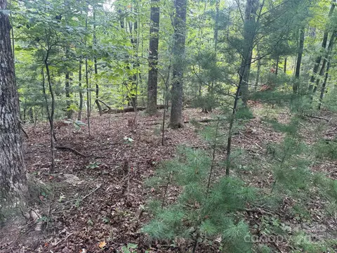 66 Forest Country Drive #66, Marion, NC 28752