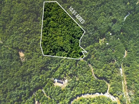 Silver Maple Trail, Brevard, NC 28712 photo 4