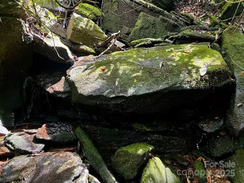 Silver Maple Trail, Brevard, NC 28712 photo 9