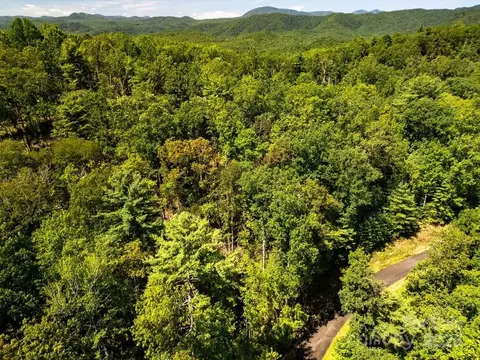 Silver Maple Trail, Brevard, NC 28712 photo 13