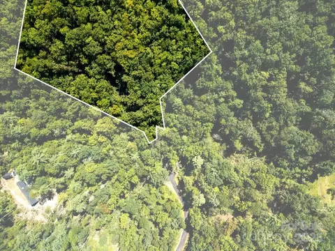 Silver Maple Trail, Brevard, NC 28712 photo 8