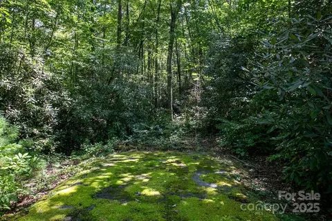 Silver Maple Trail, Brevard, NC 28712 photo 10