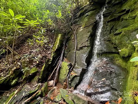 Silver Maple Trail, Brevard, NC 28712