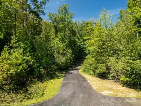 Silver Maple Trail, Brevard, NC 28712 photo 12
