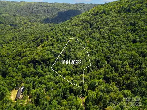 Silver Maple Trail, Brevard, NC 28712 photo 7