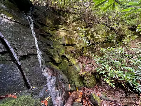 Silver Maple Trail, Brevard, NC 28712 photo 3