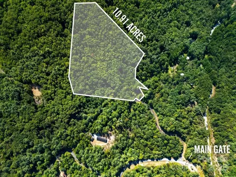 Silver Maple Trail, Brevard, NC 28712 photo 5