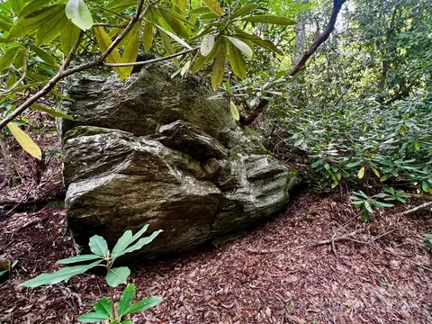 Silver Maple Trail, Brevard, NC 28712 photo 6