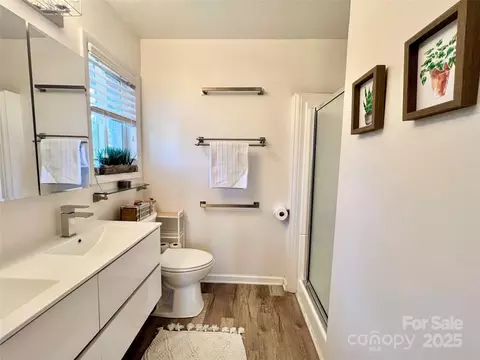 9009 Cebu Ct, Fort Mill, SC 29708 photo 6