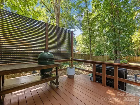 19607 Tryon St, Cornelius, NC 28031 photo 32