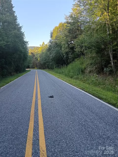 00 Toney Rd, Bostic, NC 28018 photo 9