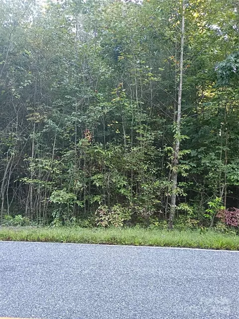 00 Toney Rd, Bostic, NC 28018 photo 4