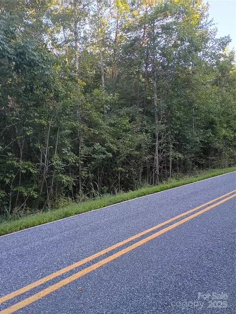 00 Toney Rd, Bostic, NC 28018 photo 3
