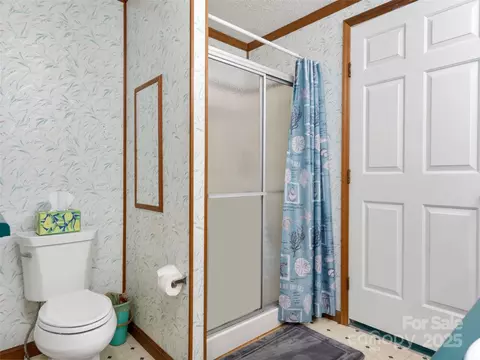 Bath - 238 Ed Gordon Senior Dr, Saluda, NC 28773 photo 3 of 4