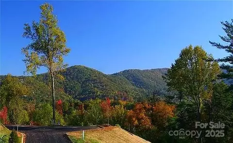 33 Grovepoint Way, Asheville, NC 28804