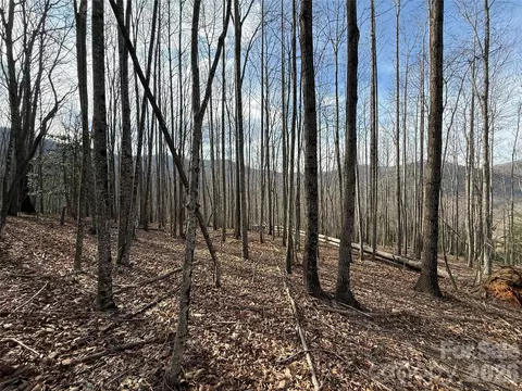 1029 Chippawa 67 Dr #67, Arden, NC 28704