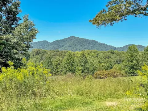 185 Riverview Dr, Canton, NC 28716 photo 39