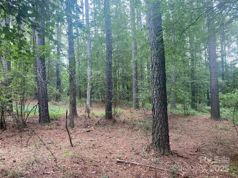 6359 Chimney Bluff Rd, Lancaster, SC 29720 photo 4