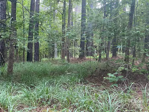 6359 Chimney Bluff Rd, Lancaster, SC 29720 photo 3